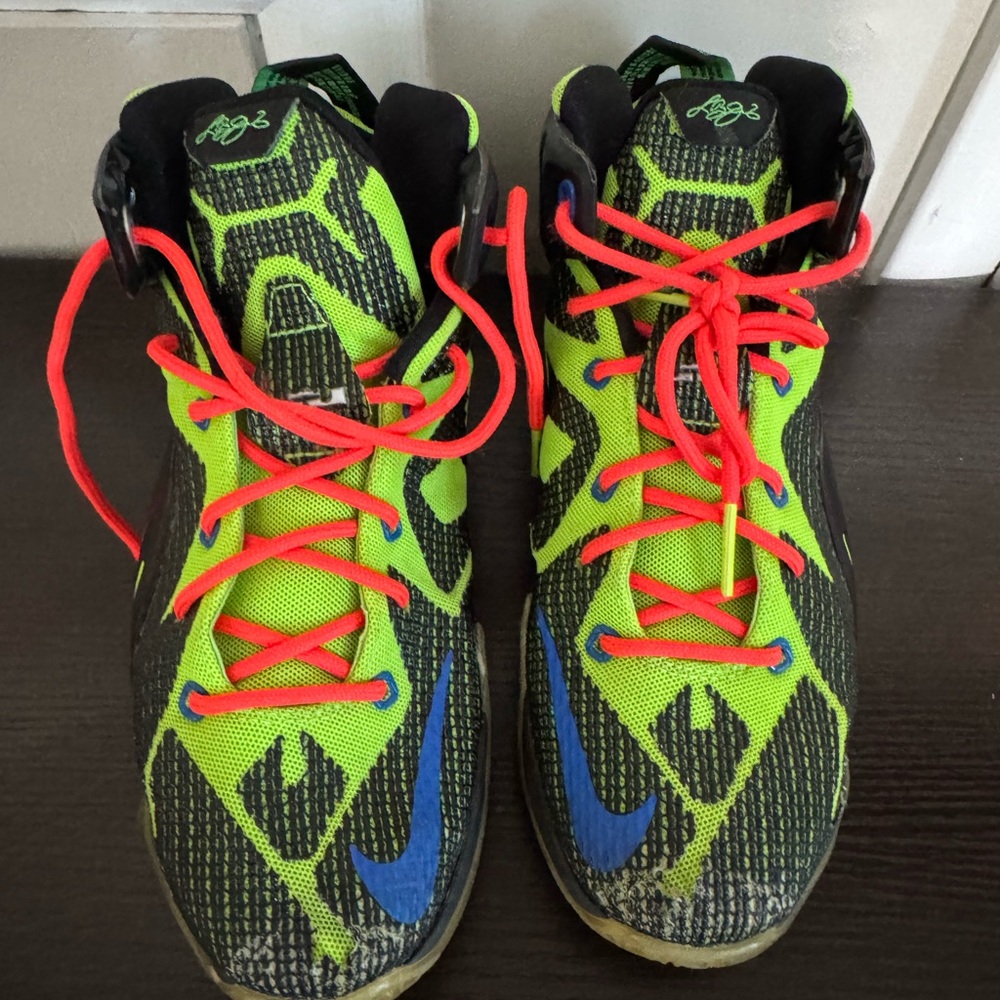 Nike LeBron James Shoes